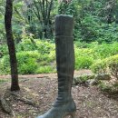 양동훈 원천 이미지