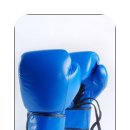 고릴라 복싱 이미지