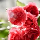 해를 담다 이미지