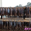 과메기 본가 범진 네이버블로그