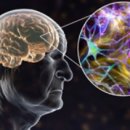 으뜸환경 이미지