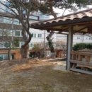 쌍령동-8 이미지