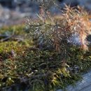 가장자리 이미지