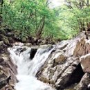 야생화길 이미지