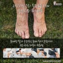 레푸스전주 이미지