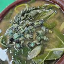 미락올갱이 이미지