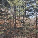 산유리보건진료소 이미지