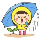 장수만두