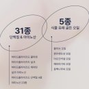 워시가드 | 올리브영 헤어 어노브 히팅 가드 노워시 트리트먼트 파마한 헤어 손상모 관리하는 방법
