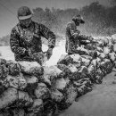 하늘을 품은 사슴 이미지