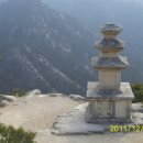 으뜸가축인공수정소 | 산림청 선정 100명산 완등. 경주 남산(고위산, 금오산)
