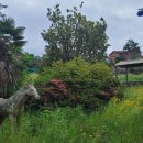 신마경로당 이미지