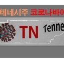 2020-주143 이미지