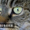 유재산후조리원 이미지