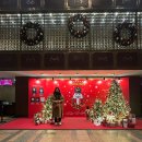 세종아이콘(주) | 세종문화회관 호두까기 인형, 유니버셜 발레단, 줄거리