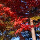 스포원파크 이미지