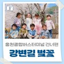 종합버스터미널 건너편 | [홍천 가볼만한곳] 홍천종합버스터미널 건너편 강변길에는 벚꽃이 활짝 피어있어요!