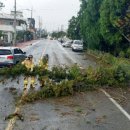 서호동-22 이미지