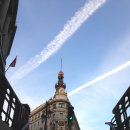 푸른솔호스텔 이미지