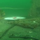 안흥초신진분교 이미지