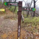 은지초등학교 이미지