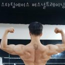 스타&팀에이스퍼스널트레이닝 이미지