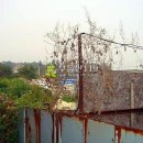 특구로27번길 이미지