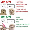 숨데이즈