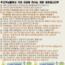 부천시 <b>임꺽정</b> 먹자골목...<b>이사</b>를 왔는데 바퀴벌레가...