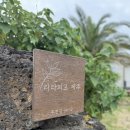라라피포 제주 | 제주애견동반숙소, 한경면 잔디 마당이 있는 독채펜션 ‘라라피포 제주’