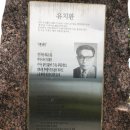 행복의섬 이미지