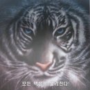 행운사 네이버블로그