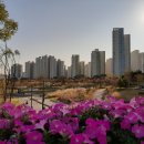 미사호수공원 이미지