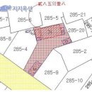 서귀동-19 이미지