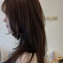 더라움헤어 네이버블로그
