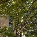 강동구청역5번출구(뒤) 이미지