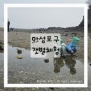 즐겨#찾기 당진1호점 | 당진 마섬항 마섬포구 갯벌체험｜유치원 아이들과 소라게·게 잡기 좋은 당진 아이와 가볼 만한 곳