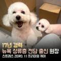 그루밍도그 이미지