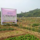 신길농장 이미지