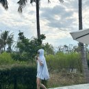 루덴스포켓 이미지