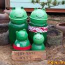 드림게스트하우스 이미지