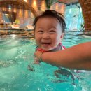 태경목장 이미지