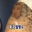 목마를때한잔