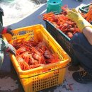 (주)동해유통 네이버블로그