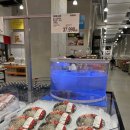 회야물회야 - 창원시 의창구 팔용로 442 | 🐟 코스트코 물회 재구매 후기｜평택점 민어·오징어회 행사도 함께 보고 왔어요