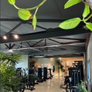 바디플러스 이미지