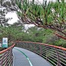 설악스카이 이미지