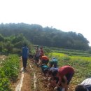 익산중학교 이미지