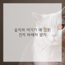 엘츠의원 이미지