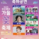 장성황룡강노란꽃잔치 축제장2 | 장성 황룡강 가을꽃축제 기본정보 초대가수 라인업 꽃길열차운행정보